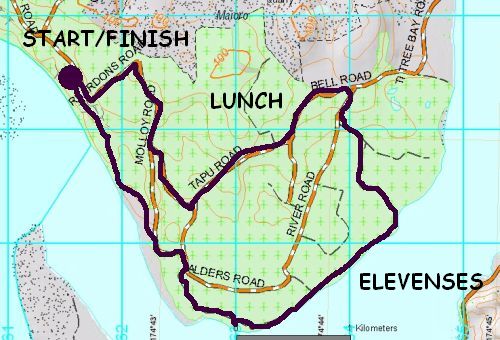 Image of waiukuforestmap09.jpg