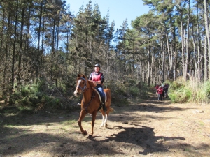 Image of waiukusep20h.jpg