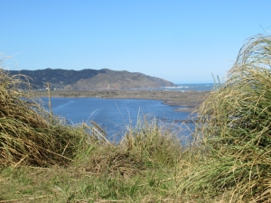 Image of waiukusep20i.jpg