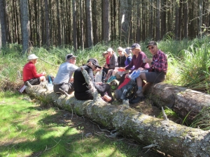 Image of waiukusep20j.jpg