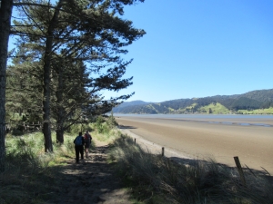 Image of waiukusep20k.jpg