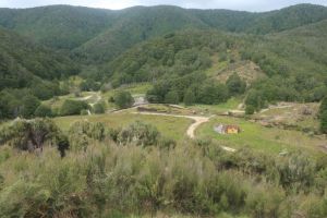 Image of waiuta22a.jpg