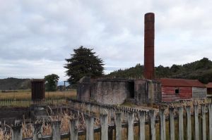 Image of waiuta22d.jpg