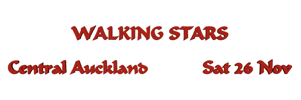 Image of walkingstars16.gif