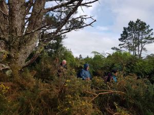 Image of warkworthjun22dtamahungafri.jpg