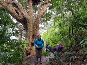 Image of warkworthjun22ktipointsat.jpg