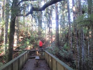 Image of warkworthjun22pperrysun.jpg