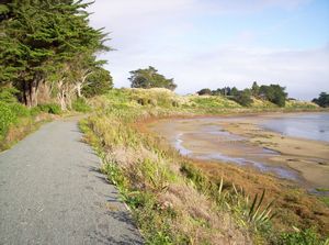 Image of watercare05lagoontrack2.jpg