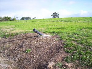 Image of watercare05landfill2.jpg