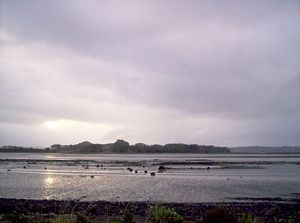 Image of watercare05puketutusunreflection.jpg