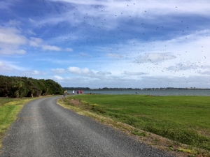 Image of watercaremar17b.jpg