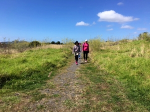 Image of watercaremar17d.jpg