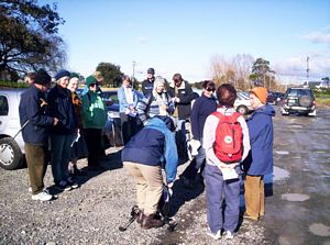 Image of wattledownsjul07abstart.jpg