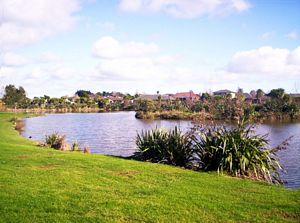 Image of wattledownsjul07bapond.jpg