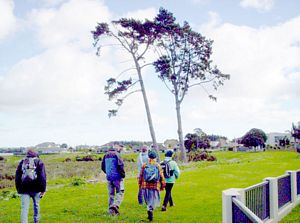 Image of wattledownsjul07cdcoast.jpg