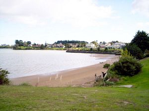 Image of wattledownsjul07cfbeach.jpg