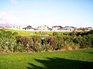 Image of wattledownsjul07fbpond.jpg