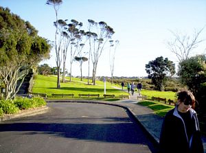 Image of wattledownsjul07fetrack.jpg