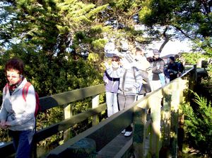 Image of wattledownsjul07gcbridge.jpg