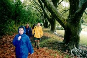 Image of wenderholm03autumnleaves.jpg