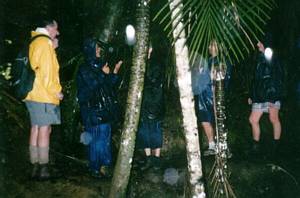 Image of wenderholm03bush.jpg