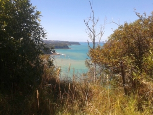 Image of wenderholmfeb132.jpg