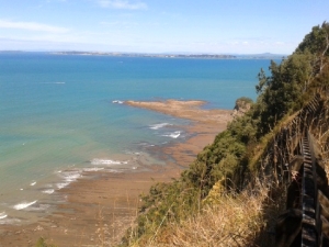 Image of wenderholmfeb133.jpg