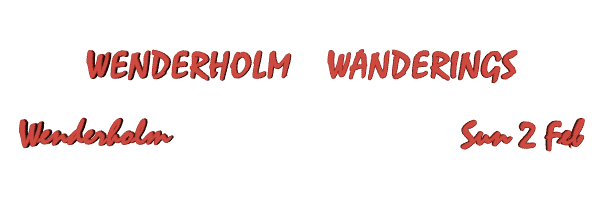 Image of wenderholmfeb14.gif