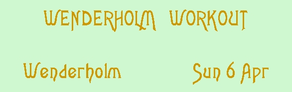 Image of wenderholmworkout.jpg