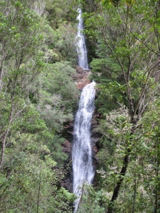 Image of wentworthjul12b.jpg