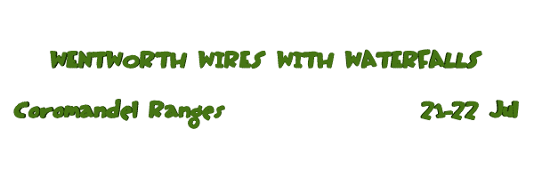 Image of wentworthwires12.gif