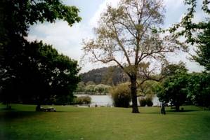 Image of westernsprings02lake.jpg