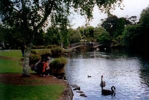 Image of westernsprings02lakeside.jpg