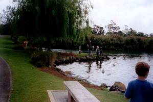 Image of westernsprings02lakeside2.jpg