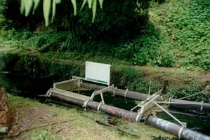 Image of westernsprings02littertrap.jpg