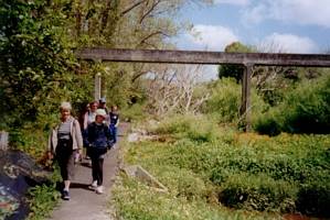 Image of westernsprings02pasadenawalk.jpg