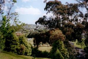 Image of westernsprings02viewmtalbert.jpg