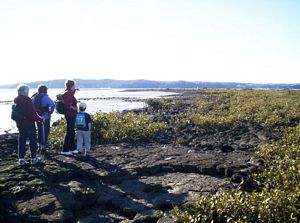 Image of westernspringsjun06ajmeolareef.jpg