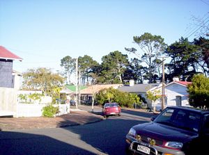 Image of westernspringsjun06bdhice.jpg