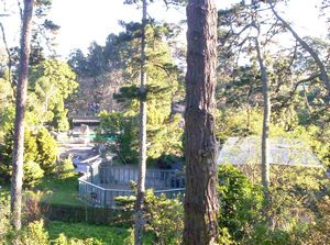 Image of westernspringsjun06bgzoo.jpg