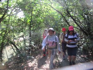 Image of westernspringsmar23h.jpg