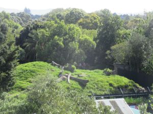 Image of westernspringsmar23l.jpg