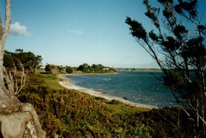 Image of weymouth03beach.jpg