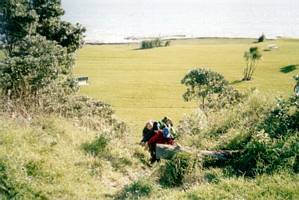 Image of weymouth03hill.jpg