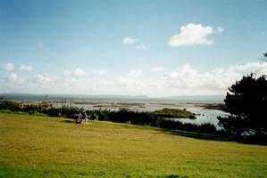 Image of weymouth03puhinui.jpg