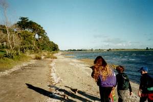 Image of weymouth03shallowwaterbeach2.jpg