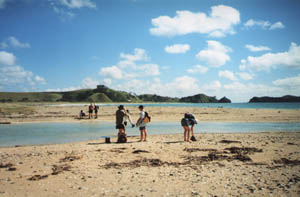Image of whananaki02crossthewaterq.jpg