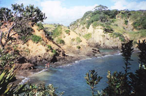 Image of whananaki02islandreturnq.jpg