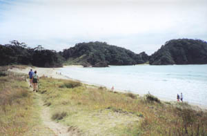 Image of whananaki02matapouribayq.jpg