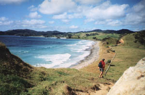 Image of whananaki02overheadlandq.jpg